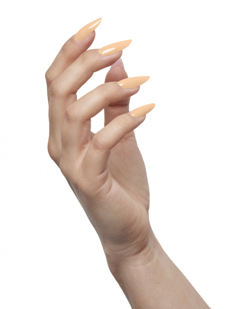 SAUTE NAILS Lakier Hybrydowy NO. S108 SAFARI 8ML SAUTE NAILS Lakier Hybrydowy NO. S108 SAFARI 8ML
