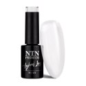 Lakier hybrydowy Ntn Premium Impression 5g Nr 260 Lakier hybrydowy Ntn Premium Impression 5g Nr 260