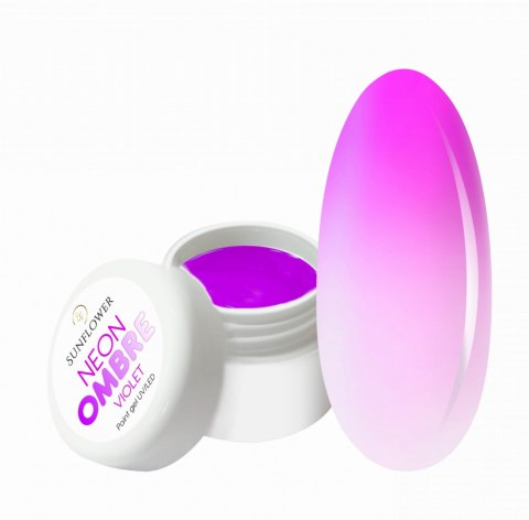 NEON OMBRE PAINT NO WIPE - NEON VIOLET 3G