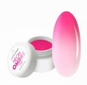 ZESTAW NEON OMBRE 4 SZT. PAINT + 1SZT GĄBKA DO OMBRE ZESTAW NEON OMBRE 4 SZT. PAINT + 1SZT GĄBKA DO OMBRE