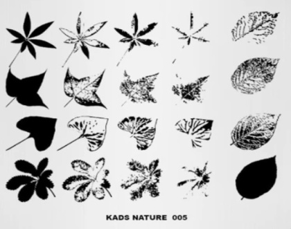 Kads Blaszka do stempli 005 - NATURE