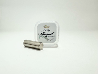 Hessi MAGNES