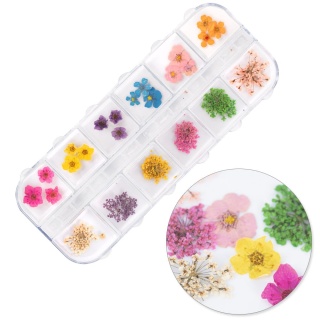Suszone kwiaty do zdobień paznokci w kasetce Molly Nails rodzaj B 36 szt