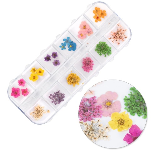 Suszone kwiaty do zdobień paznokci w kasetce Molly Nails rodzaj B 36 szt