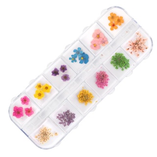 Suszone kwiaty do zdobień paznokci w kasetce Molly Nails rodzaj B 36 szt