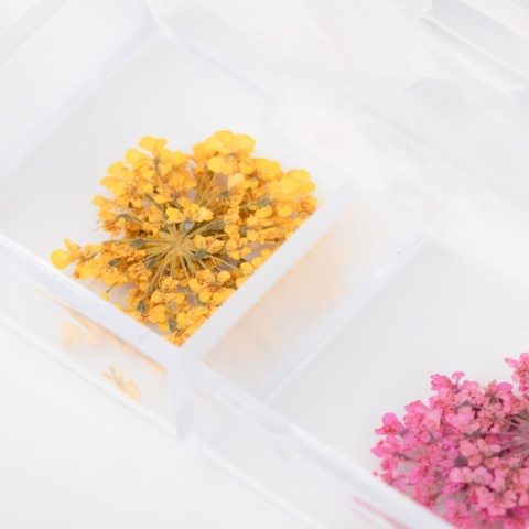 Suszone kwiaty do zdobień paznokci w kasetce Molly Nails rodzaj B 36 szt