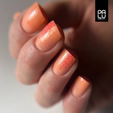 PALU Pro Light Builder Gel Peachy 45 g żel budujący