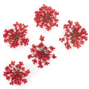Suszone kwiatki MollyLac Red 5szt — zdjęcie 1