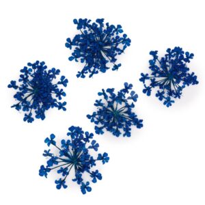 Suszone kwiatki MollyLac Royal Blue 5szt — zdjęcie 1